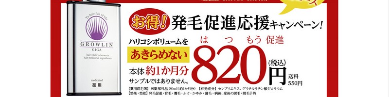 ���ё��i�܁u��p�O���[�����E�M�K�v ���T�C�g